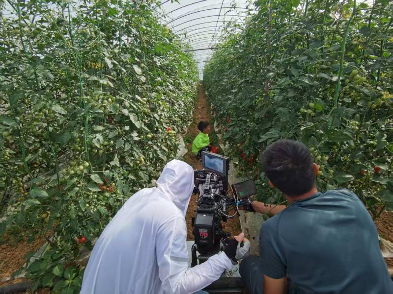 平顶山产品宣传视频拍摄公司进阶指南，助力品牌抢占传播高地